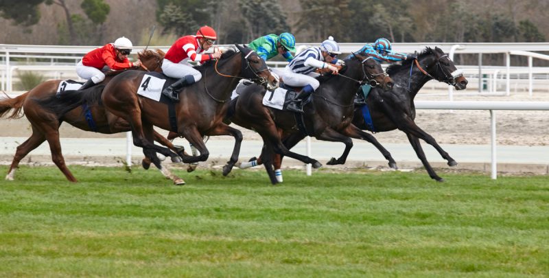 Optimisez vos tactiques de pari dans les courses hippiques