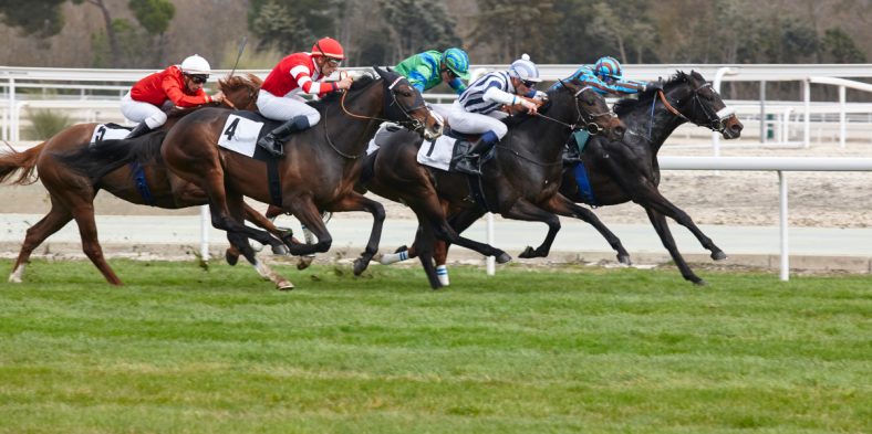 Optimisez vos tactiques de pari dans les courses hippiques
